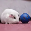 Balle Trixie Snacky 