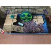 Barney cage