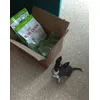 Coco contento que ha llegado su comida favorita