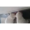 samen eten