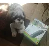 Lui i jego maszynka
