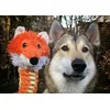 Look-a-likes