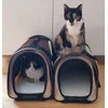 Lots of space for 5kg cats