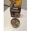 African parrot mix