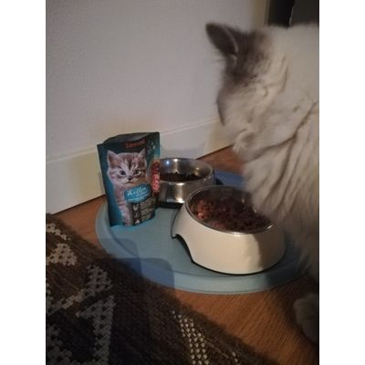 Tao e la nuova ciotola