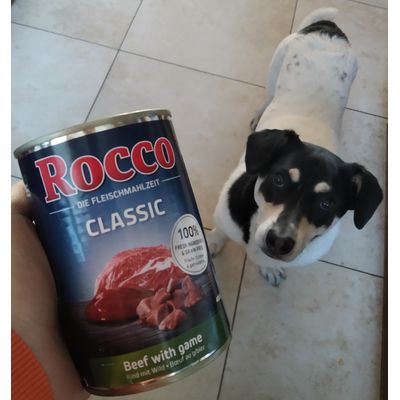 Rysio i jego Rocco