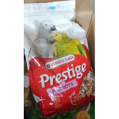 Perroquet