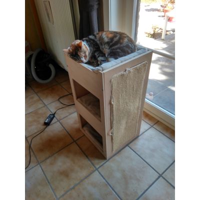 Siesta