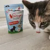 Our cat loves them