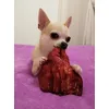Bianca e il suo passatempo