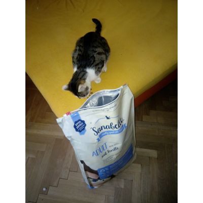 Bellince moc chutnaji