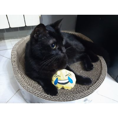 Luna