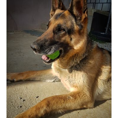 Jack
