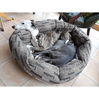 Mac et Scouby