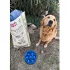 Brando le ama