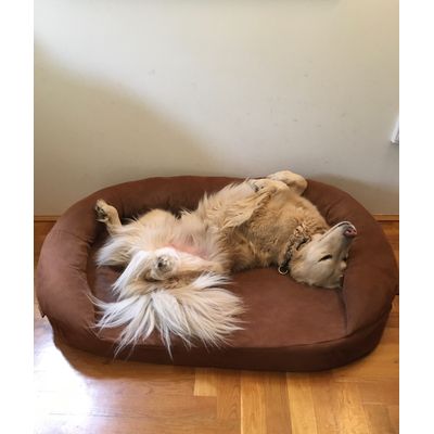 He likes it