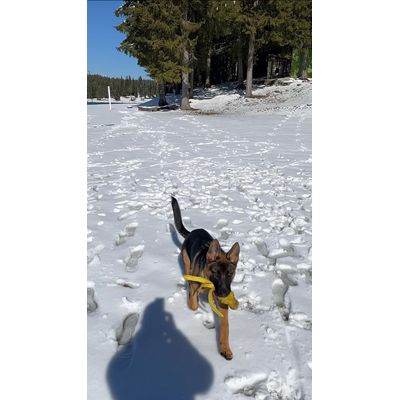 First Winter