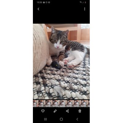 Laserpointer