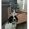 Sam 