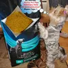 Purina Pro Plan Veterinary Diets