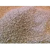 granule
