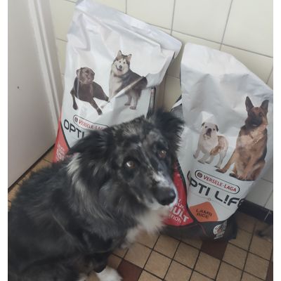 Loki et opti life