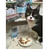 bocconcini che passione