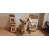 Super Royal Canin Chihuahua