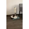 Kitku Placzku przy drapaczku