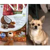 Ottimi ingredienti cereali free con Aringhe
