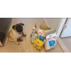 min mops