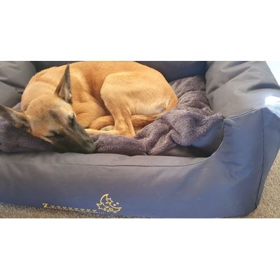 Bia and her new bed