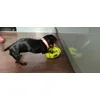 Large ball