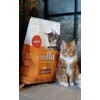 Onze XXL Maine Coon houdt van Smilla large cats