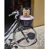 Toby in bicicletta 