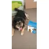 Lily