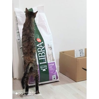 Luna y su comida