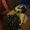 Lea e Simba adora coperte di zooplus 