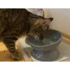 Trixie ergonomic XXL bowl