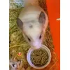 Pellet ottimo lo compro da 2 anni