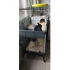 La cage parfaite