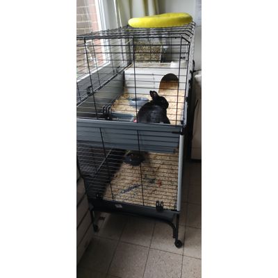 La cage parfaite