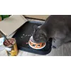 Miau approving first Wild Freedom Experience