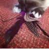 Feather Fiend