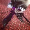 Feather Fiend