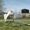 Kira