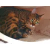 Mama und die Kleinen