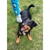 Tobi