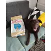 Dora