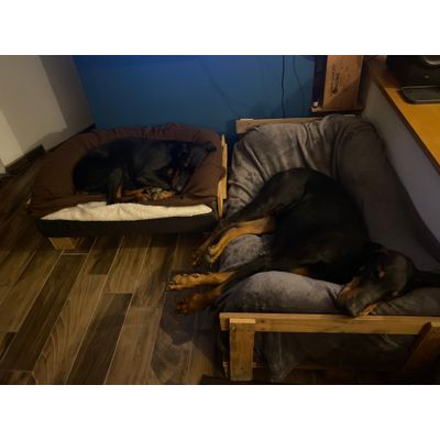 Photo coussin